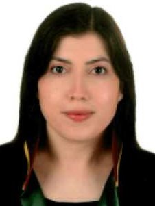 Av. Enes Firat Akgönül