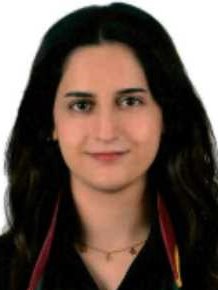 Av. Enes Furkan Mengi