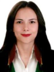 Av. Enes Gül