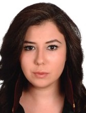 Av. Enver Akin