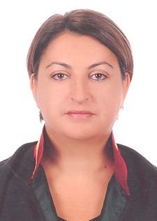 Av. Erdem Kaya