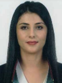 Av. Erdem Muammer Akçakir