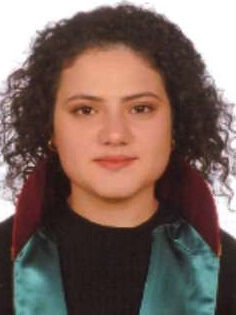 Av. Erk Dolunay Kiliç