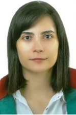 Av. Erol Atayol