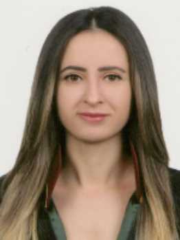 Av. Erol Karayazici