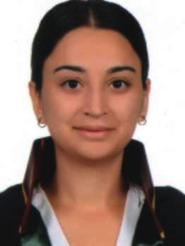 Av. Erol Körüklü