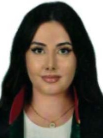 Av. Ezgi Ekin Dikmen