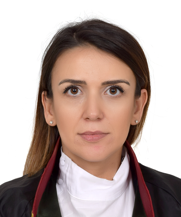 Av. Faik Yildiz