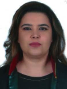 Av. Feride Sila Nergiz