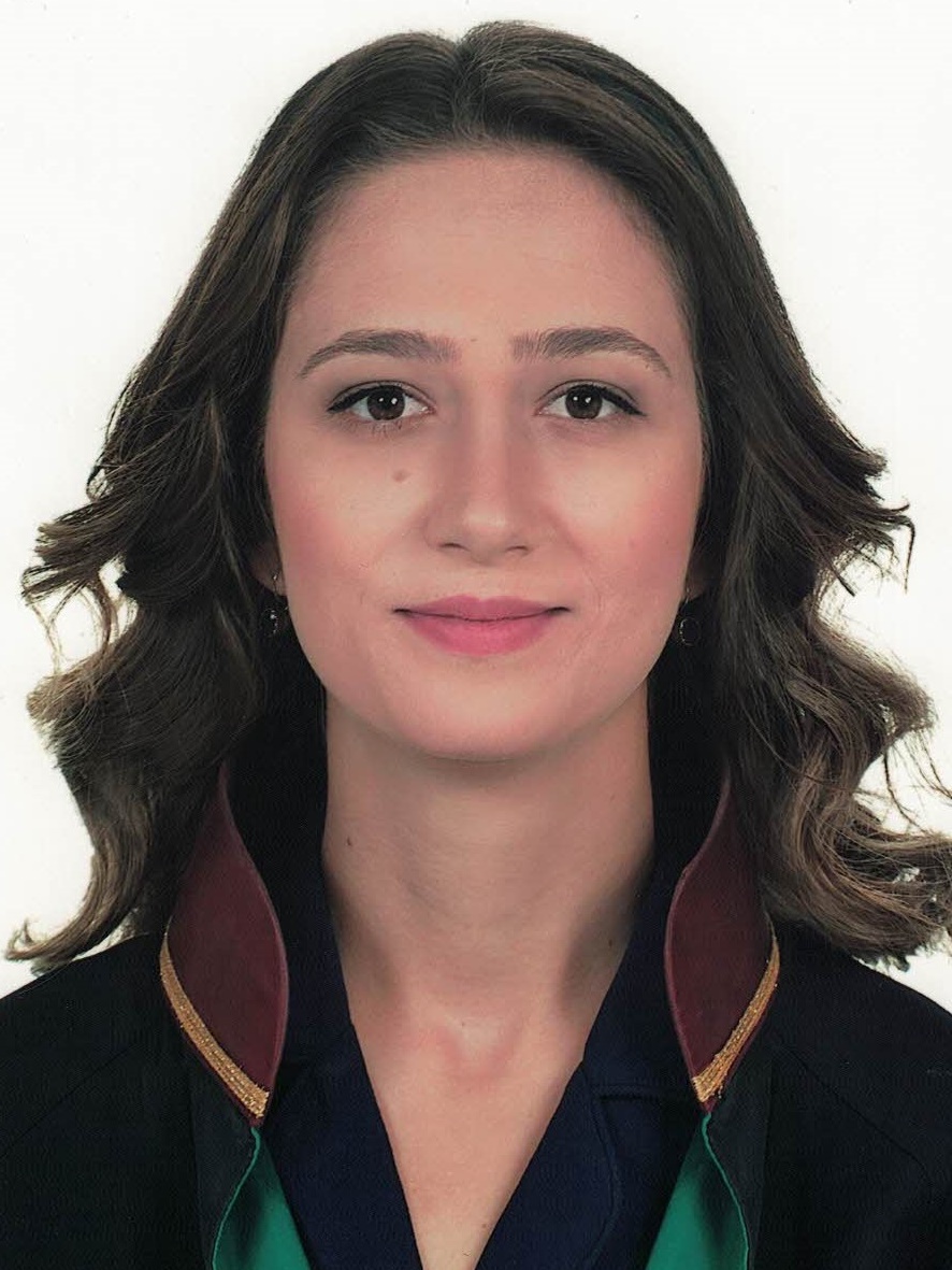 Av. Feyzullah Cihangir