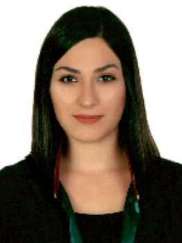 Av. Firat Akyürek