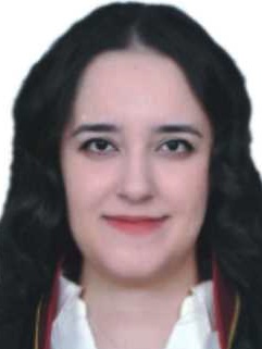 Av. Firat İnan