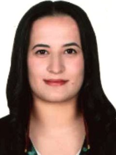 Av. Firat Yücel Aksungur