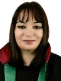 Av. Fulya Zülal Yildiz