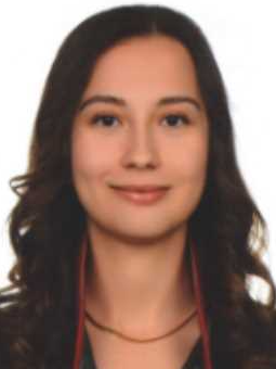 Av. Furkan Tanritanir