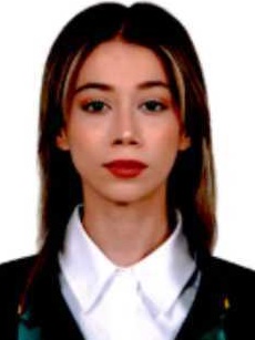 Av. Gizem Beste Birimşeli