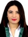 Av. Gizem Karaömerlioğlu