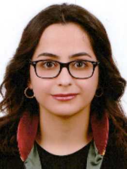 Av. Gizem Serinken