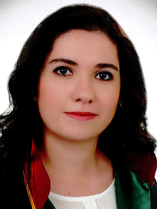 Av. Gökçen Düzenli