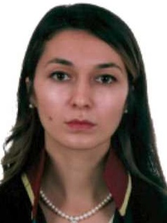 Av. Gökçen Efe Ercan