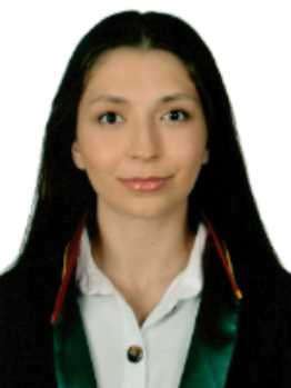 Av. Gökhan Balci
