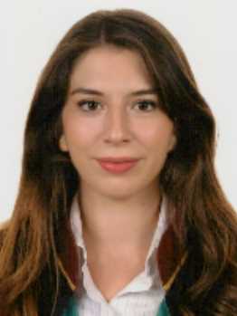 Av. Gökmen Asyali