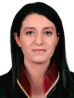 Av. Göktuğ Karsli