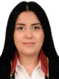 Av. Gürkan Kipik