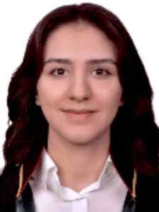 Av. Hakan Cörüt