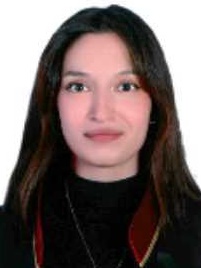 Av. Hakan Kurt