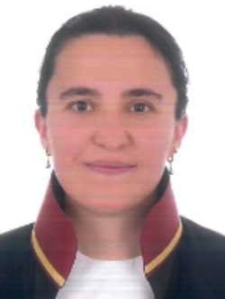 Av. Hakan Savur