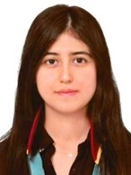 Av. Hakki Germeçli