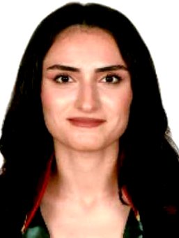 Av. Halil İbrahim Dönmez