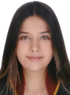 Av. Halil İbrahim Önal