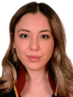 Av. Halil Özeriç