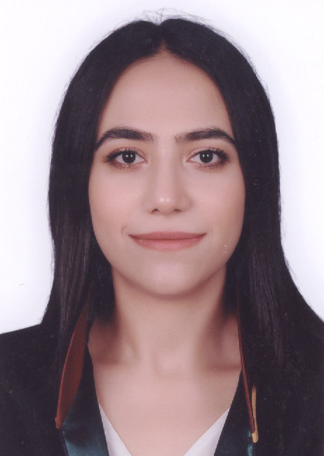 Halil Ülvi Elverici