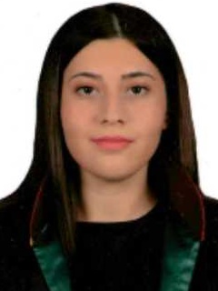 Av. Hamide Batgi
