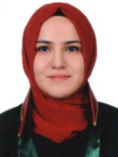Av. Hande Yildirim Okumuş