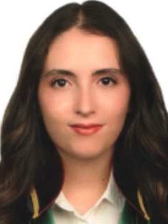 Av. Hasan Berki Çelik