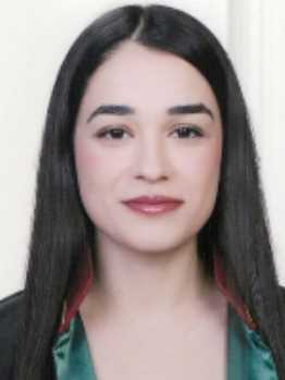 Av. Hasan Karabulut