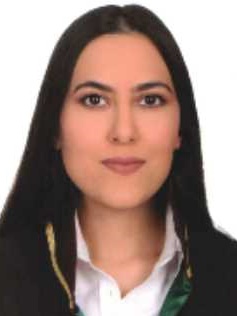 Av. Hasan Toktaş