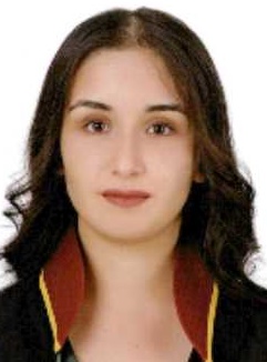 Av. Hatice Öktem Var
