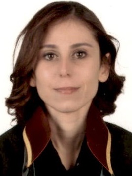 Av. Hayati Hilmioğlu