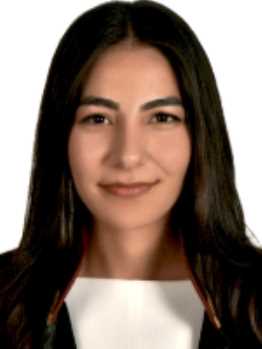 Av. Hüseyin Avni Arslan