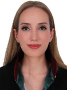 Av. Hüseyin Avni Konu