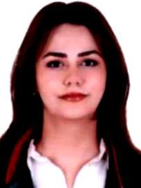 Av. Hüseyin Eren Sari