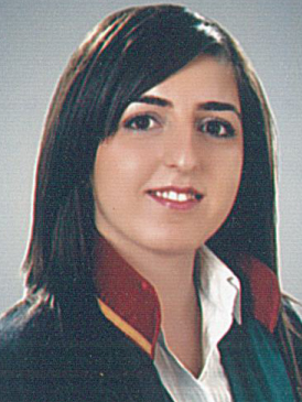 Av. Hüseyin Şimşek
