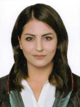 Av. İbrahim Ulvi Apaydin