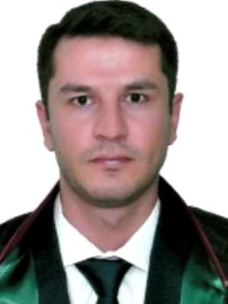 Av. İlker Emin Elbir