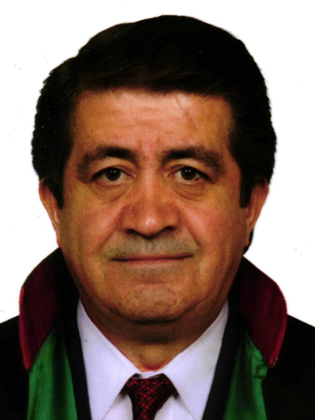 Av. İrem Çiloğullari Olca